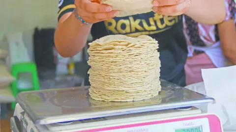 Descripción automática