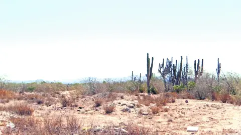 Descripción automática