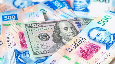 Descripción automática