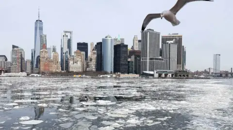 El frío glacial obligó a la NASA a posponer una importante prueba de abastecimiento de combustible del cohete colocado en la plataforma de lanzamiento de Cabo Cañaveral.

Para más información del tema, visita: https://www.eleconomista.com.mx/internacionales/frente-frio-llega-estados-sureste-provocar-100-muertos-eu-20260131-797836.html 

¡Síguenos en nuestras redes sociales para mantenerte informado!

Twitter: https://twitter.com/eleconomista 
Facebook: https://www.facebook.com/ElEconomista.mx
Instagram: https://www.instagram.com/eleconomistamx
LinkedIn: https://www.linkedin.com/company/el-economista/

#ElEconomista #TormentaInvernal #EstadosUnidos