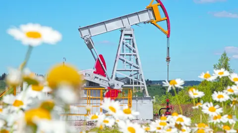 Descripción automática