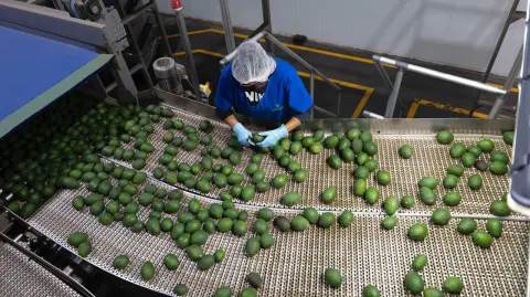 Foto: Gobierno de Michoacán