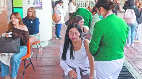 Descripción automática