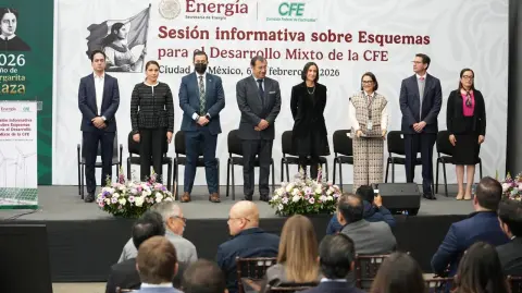Foto: Comisión Federal de Electricidad
