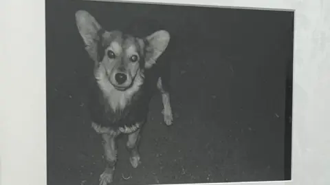 Obra ganadora del Premio de Arte AXA México fue “No apretar la trompa de un perrito ni darle tamal, 1994”, de la artista tzotzil Maruch Sántiz Gómez, exhibida por la Galería OMR.