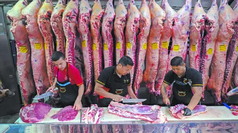 Descripción automática