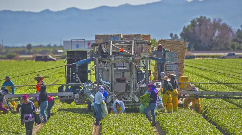 Descripción automática