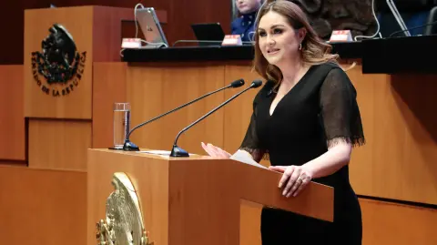 Geovanna Bañuelos, presidenta de la Comisión de Trabajo y Previsión Social del Senado.