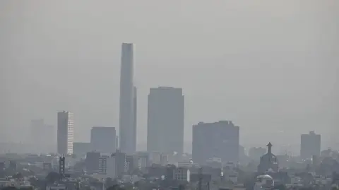 Consulta cuáles son los vehículos que no podrán circular este lunes 16 de febrero, así como las medidas preventivas para evitar riesgos en la salud.

Para más información del tema, visita: https://www.eleconomista.com.mx/politica/activa-contingencia-ambiental-cdmx-valle-mexico-implementa-doble-hoy-circula-20260215-799971.html 

¡Síguenos en nuestras redes sociales para mantenerte informado!

Twitter: https://twitter.com/eleconomista 
Facebook: https://www.facebook.com/ElEconomista.mx
Instagram: https://www.instagram.com/eleconomistamx
LinkedIn: https://www.linkedin.com/company/el-economista/

#ElEconomista #Contingencia