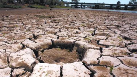 Texto alternativo automático