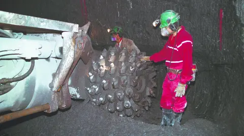 Texto alternativo automático