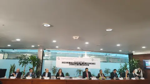 Foto: Rodrigo Riquelme