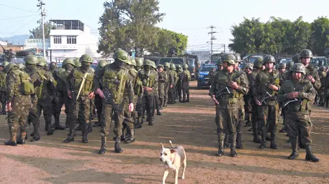 Texto alternativo automático