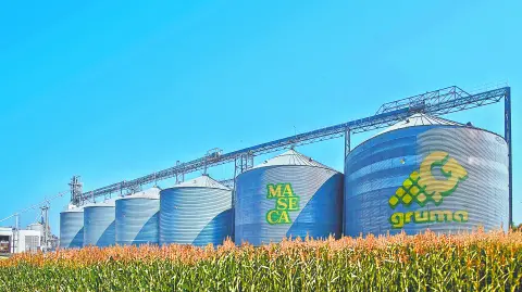 Texto alternativo automático