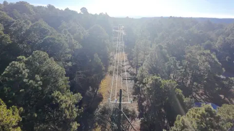 Foto: Comisión Federal de Electricidad