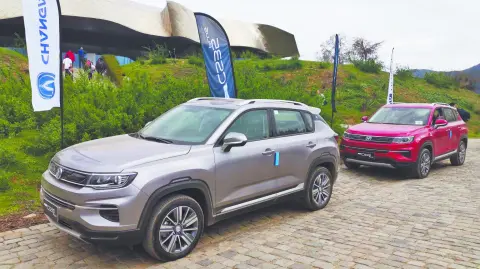 Texto alternativo automático