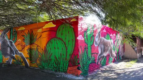 Foto: Secretaría de Infraestructura, Comunicaciones y Transportes