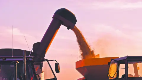 Texto alternativo automático