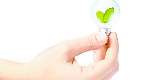 Posgrados buscan especialistas en energías limpias, innovación y modelos de negocio.