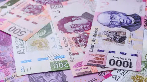 Texto alternativo automático