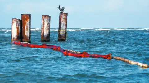 Texto alternativo automático