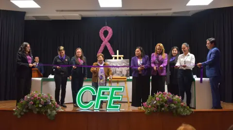 Foto: Comisión Federal de Electricidad