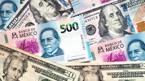 Texto alternativo automático