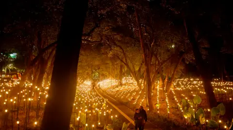“Rafael Lozano-Hemmer: Jardín Inconcluso”, en el MAM.