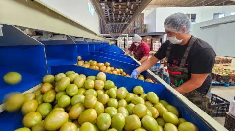 Foto: Gobierno de Aguascalientes