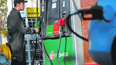 Texto alternativo automático