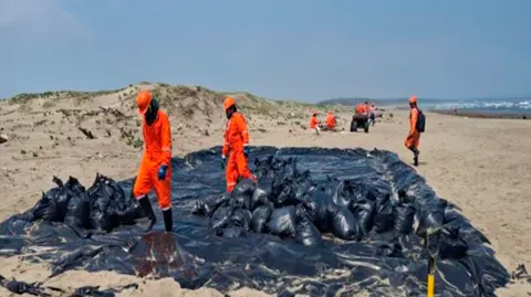 Labores de limpieza en Veracruz.