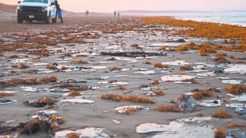 Texto alternativo automático