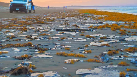 Texto alternativo automático