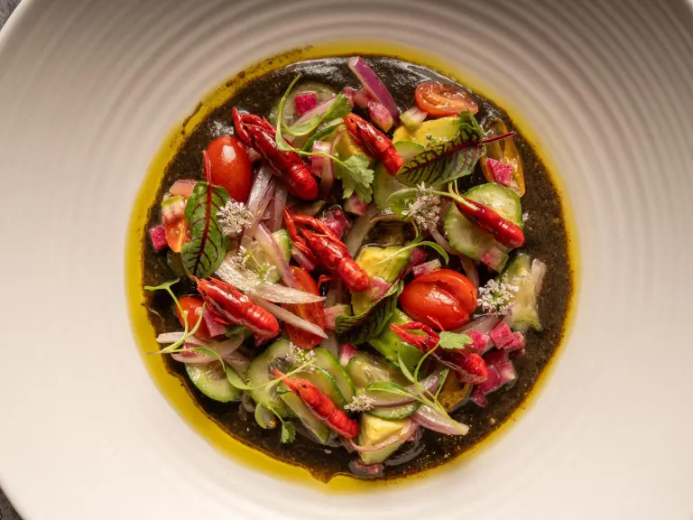 Aguachile negro con Acociles Los Danzantes Coyoacán