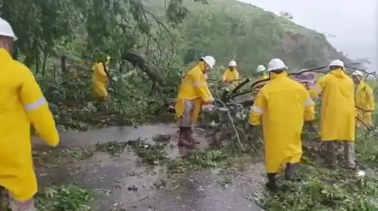 Trabajadores de la CFE usan motosierras para despejar un camino entre Ometepec, Guerrero, y Pinotepa Nacional, Oaxaca.