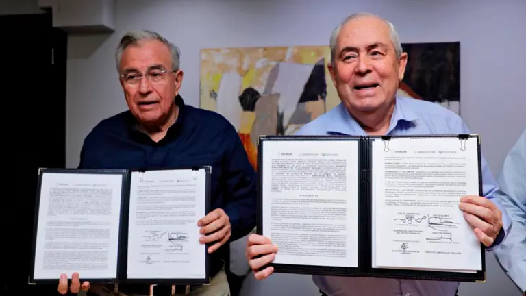 SEGALMEX adquirirá 137 mil toneladas de maíz blanco sinaloense: Rocha Moya