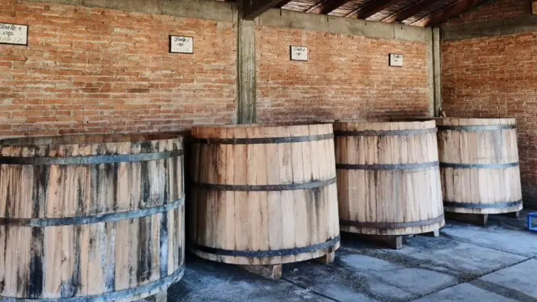 Finca Robles. Foto EE: Francisco de Anda.