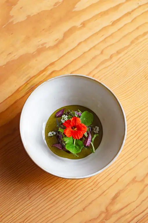 Experiencias gastronómicas de alta cocina