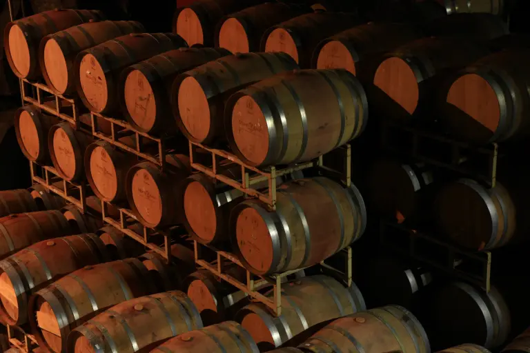 Adentrarse en la bodega, todo un descubrimiento.