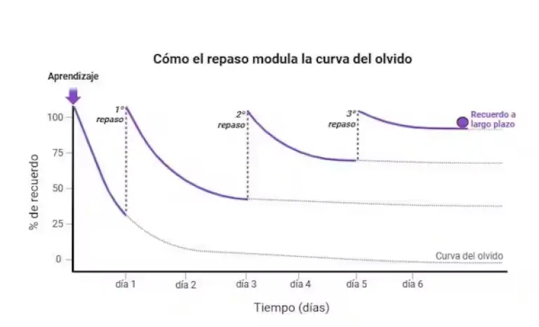 Gráfico que explica cómo el repaso periódico del contenido memorizado mejora la curva del olvido.