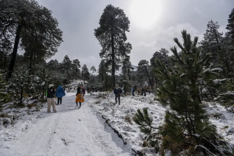 Turistas provenientes de diversos estados de México así como de la entidad mexiquense se dieron cita desde muy temprana hora en el Volcán Xinantécatl para disfrutar del paisaje nevado que ofrecía este, el acceso está permitido hasta el Parque de los Venados, los visitantes jugaron en la nieve, se tomaron la foto del recuerdo y armaron su muñeco. En el transcurso de la mañana los visitantes continuaron llegando a las faldas del Nevado para disfrutar este espectáculo.