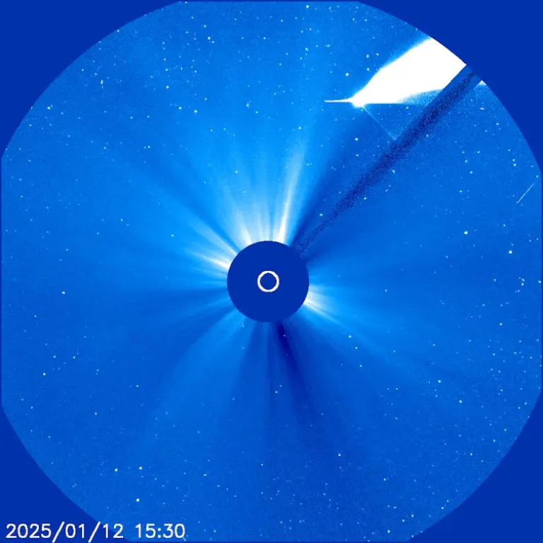 El cometa ATLAS C/2024 G3 sobre el Sol (tapado por un coronógrafo) en la cámara Lasco del Solar & Heliospheric Observatory (SOHO) el 12 de enero (SOHO/ESA-NASA) SOHO