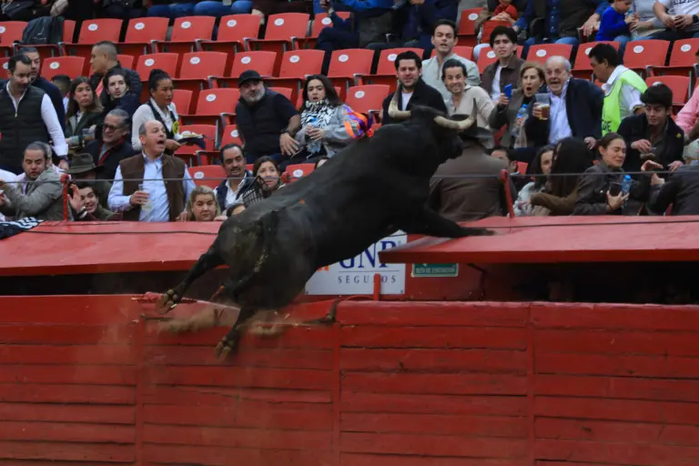 Feria de Aniversario 2025. Toro brinca barrera y casi alcanza al público.