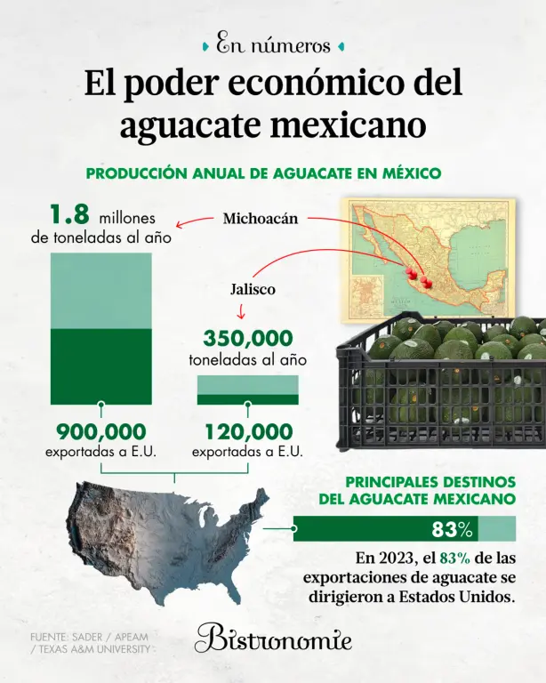 El poder económico del aguacate mexicano