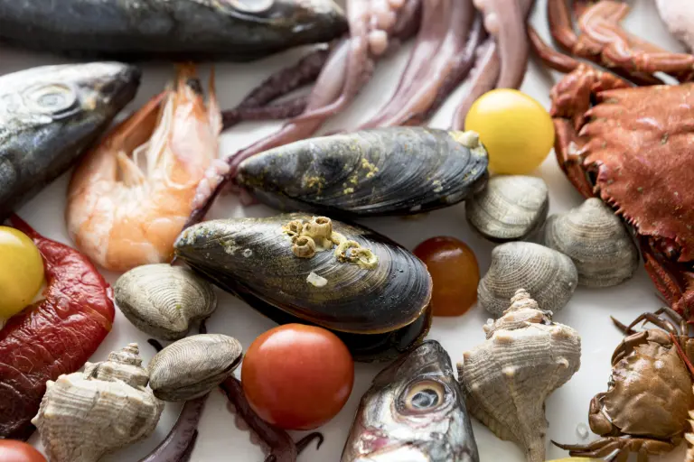 Pescados y mariscos frescos