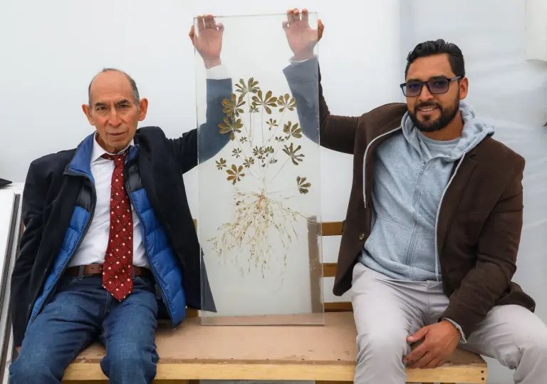 El laboratorio es único en México y Latinoamérica, fue creado por investigadores mexicanos y hoy es un referente para las evaluaciones de productos que podrían salir a campo. Foto EE: Hugo Salazar