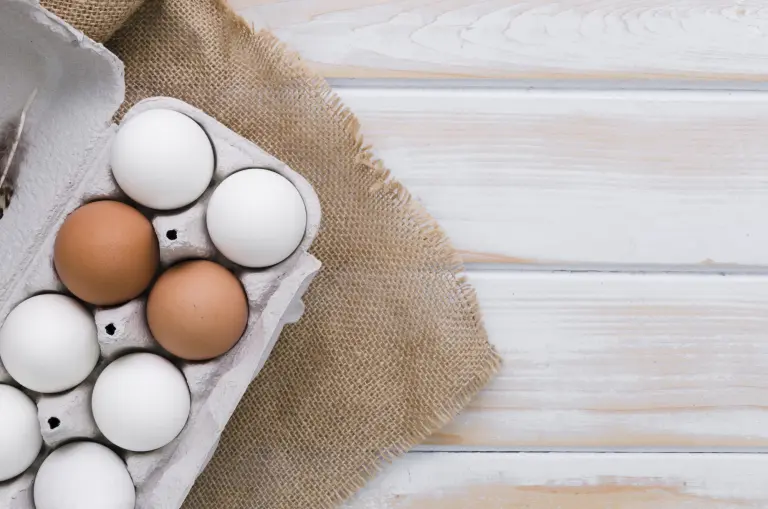 carton de huevos