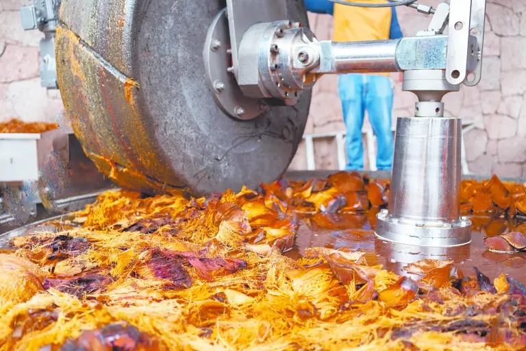 Fabricación del tequila.