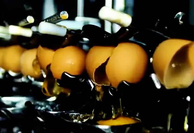 Huevos