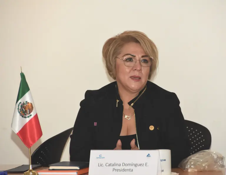 Catalina Domínguez, presidenta de Canacope Monterrey y vicepresidenta coordinadora de Concanaco Servytur en Nuevo León.